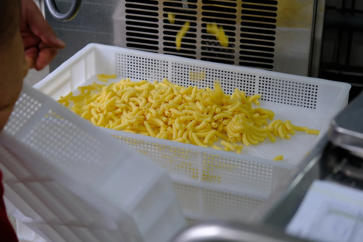 Frische Pasta läuft von der Pasta-Maschine in eine Mehrwegbox